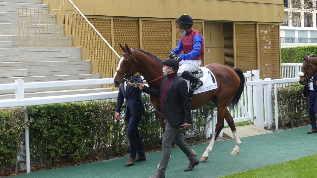 Policy Of Truth a big player for French Guineas in more ... Image 2